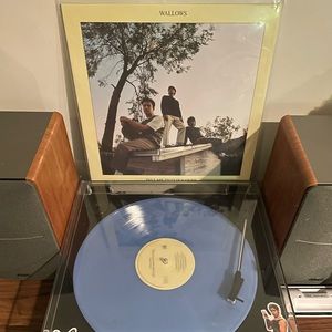 wallows ‘tell me when it’s over’ urban outfitters exlusive vinyl